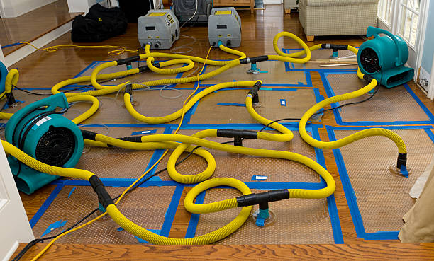 Professional Basement Flood Cleanup technician working in Beecher, MI